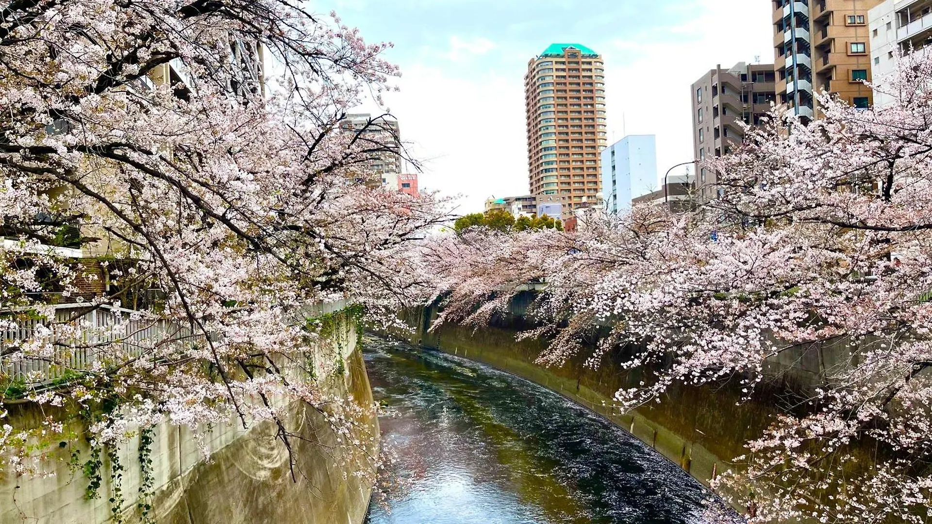 Nearest Sta 4Mins!Nr Ikebukuro,Shinjuku,Shibuya! Apartment Tokyo 0*,